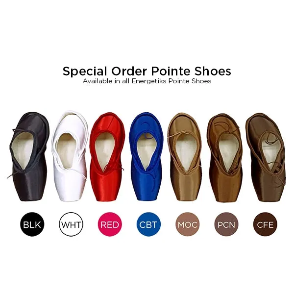 Athena Pointe Shoe 🩰 Flexible Soft Shank