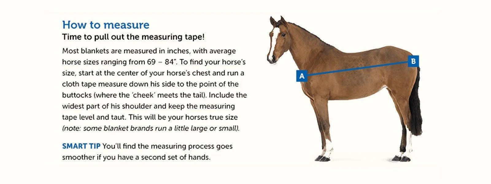 Custom Dry Horse Turnout Sheet