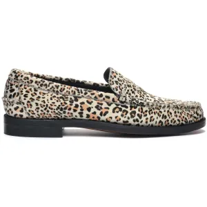 Dan Wild - Cheetah