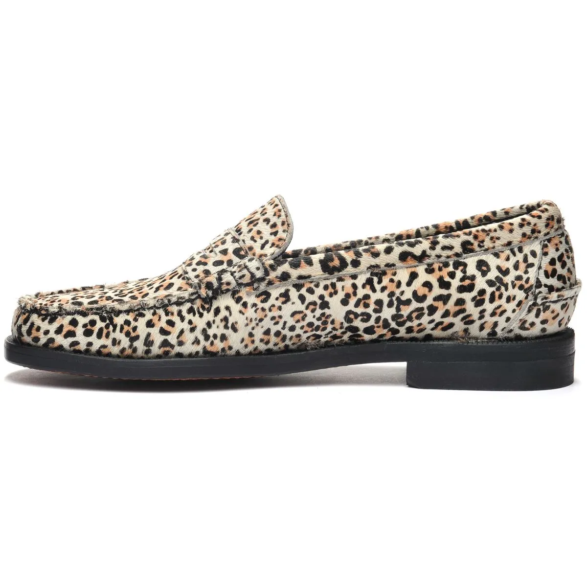 Dan Wild - Cheetah