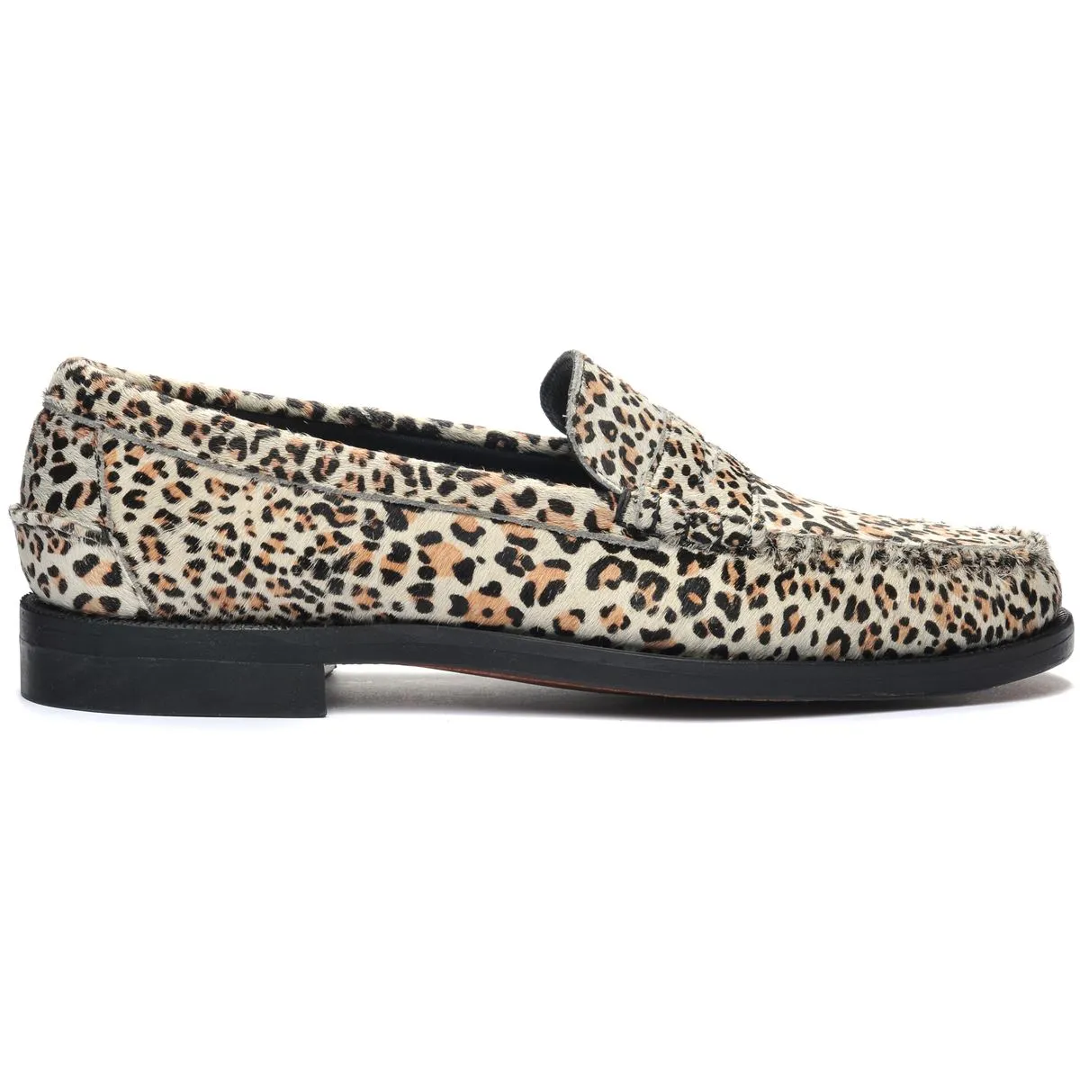 Dan Wild - Cheetah
