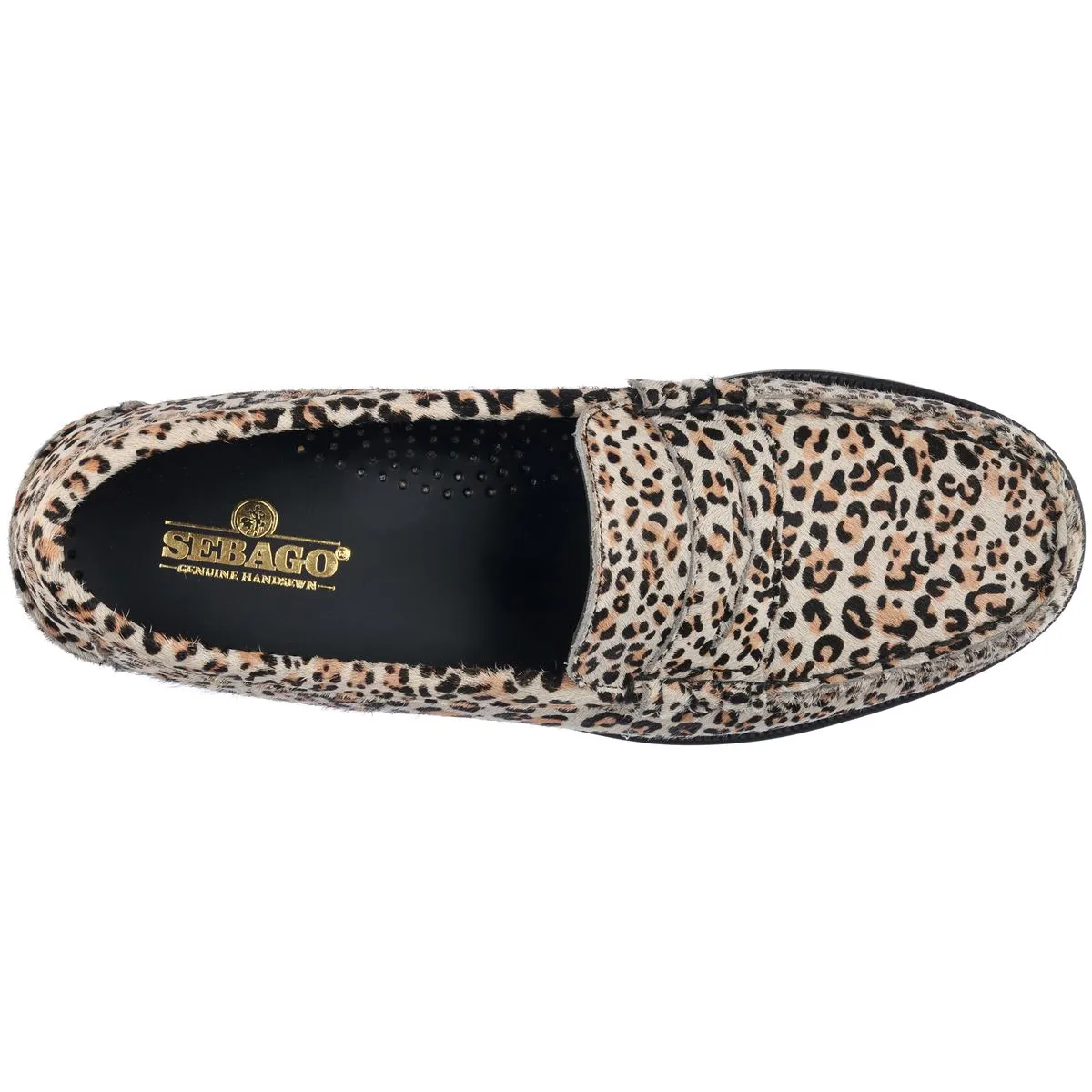 Dan Wild - Cheetah