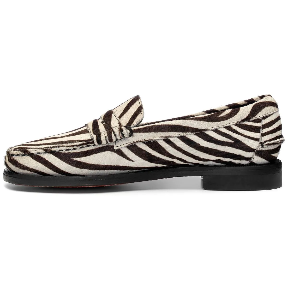 Dan Wild - Zebra