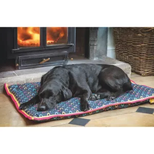 Digby & Fox Waterproof Dog Bed - Dog House