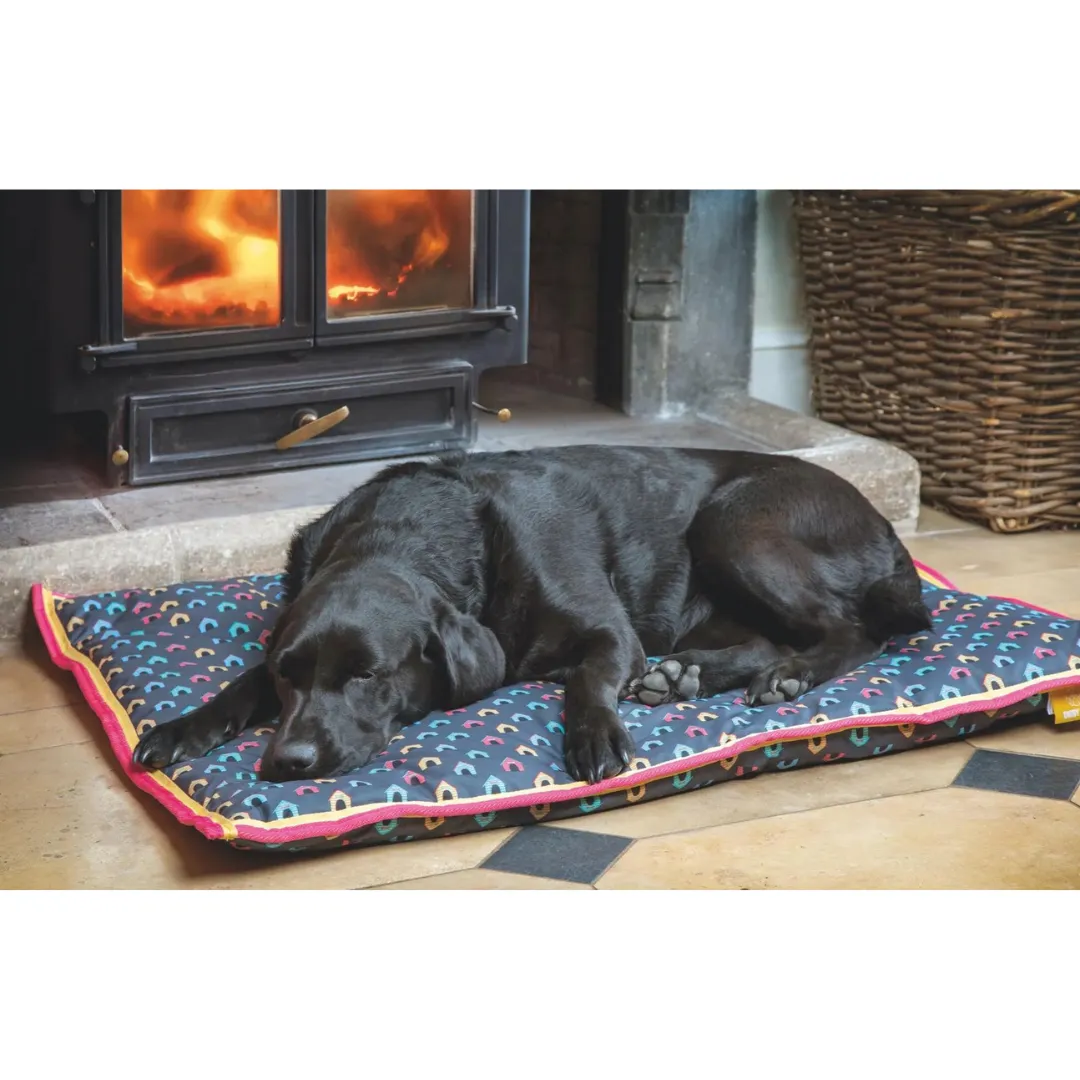 Digby & Fox Waterproof Dog Bed - Dog House