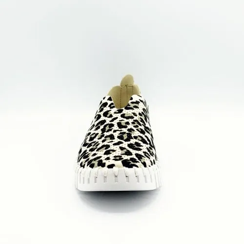 Leopard Flat