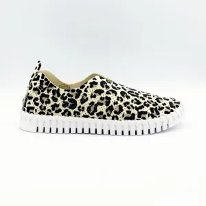 Leopard Flat