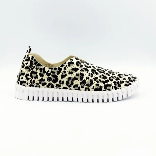 Leopard Flat
