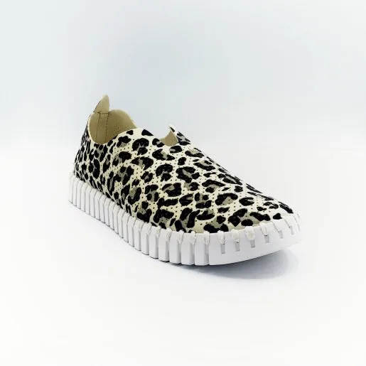 Leopard Flat