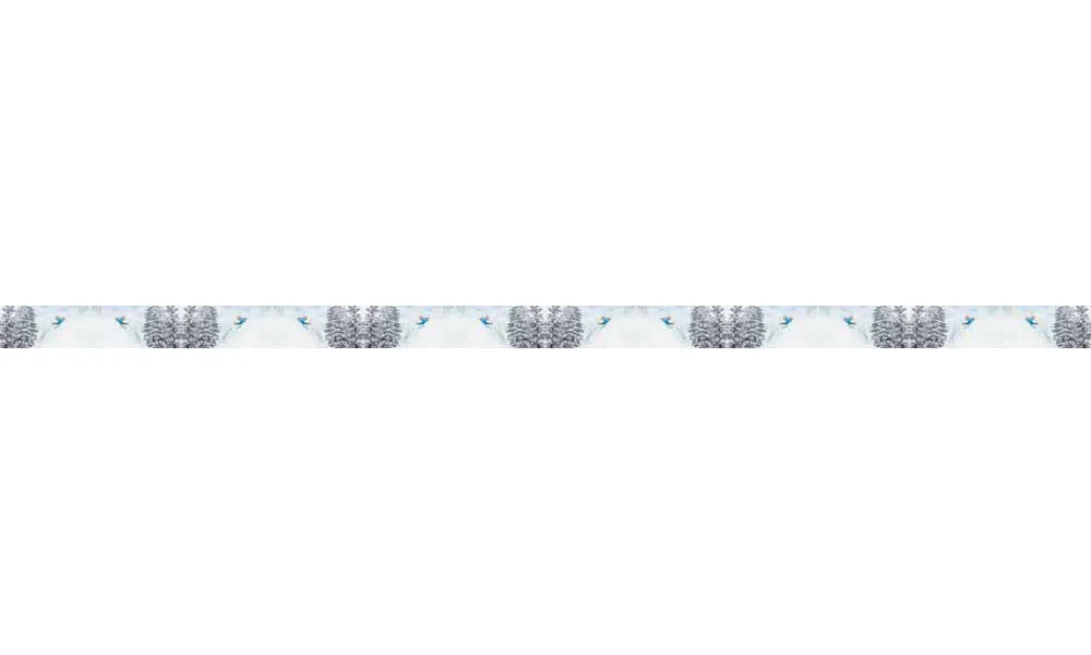 Mountaincognito Pow Dog Collar