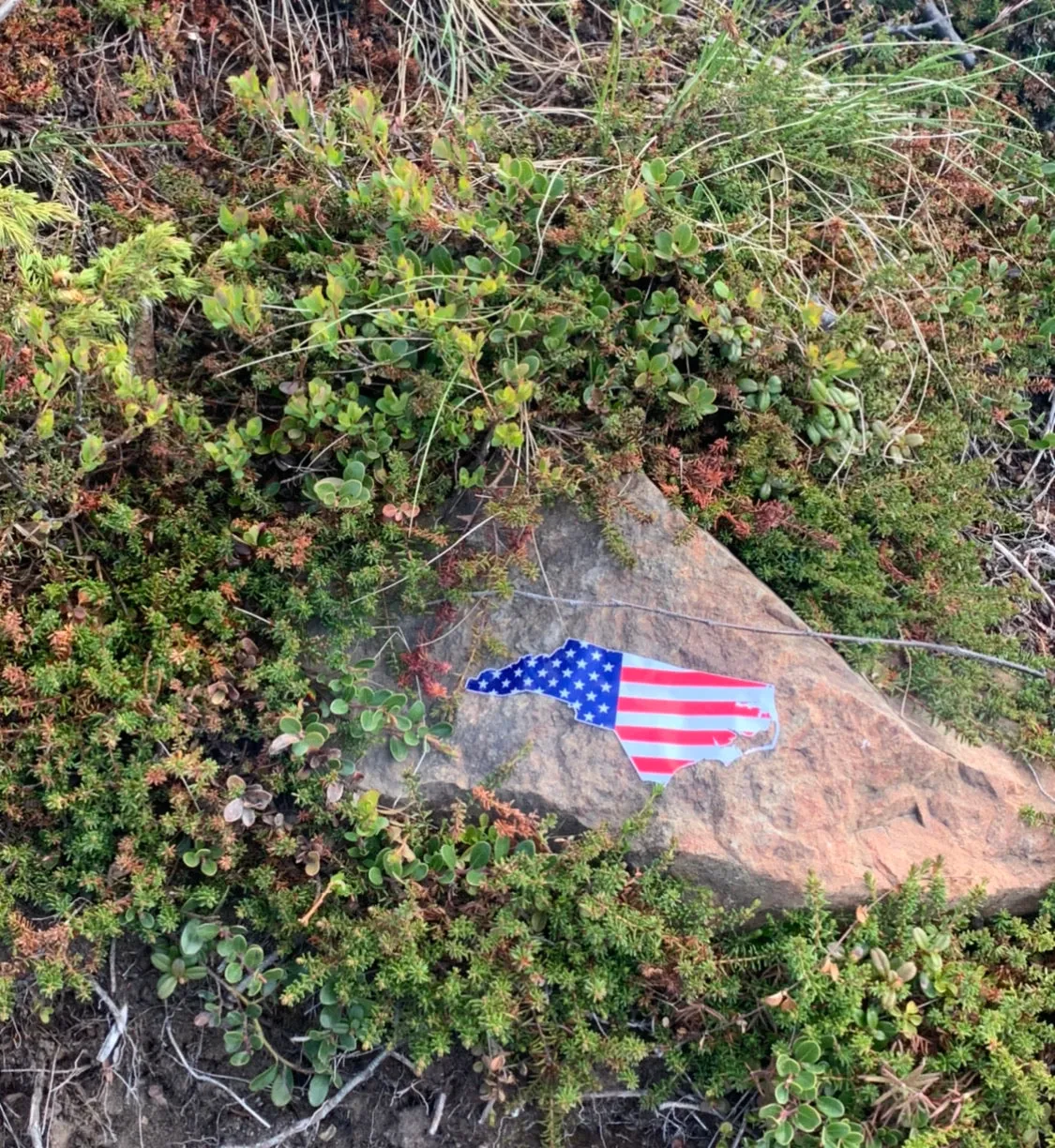 North Carolina State American Flag Decal