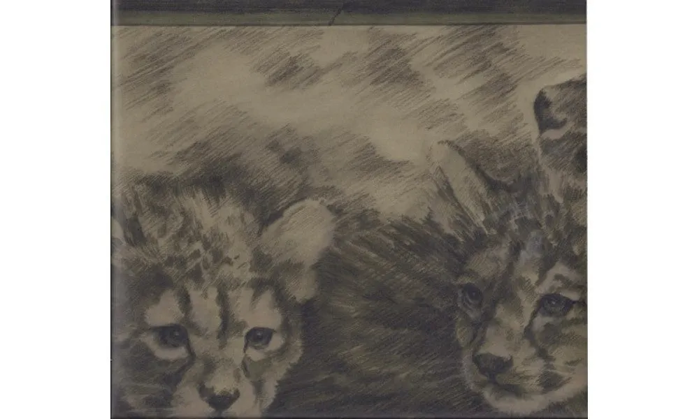 Olive Green Cheetah Cubs ET219 Wallpaper Border