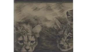 Olive Green Cheetah Cubs ET219 Wallpaper Border