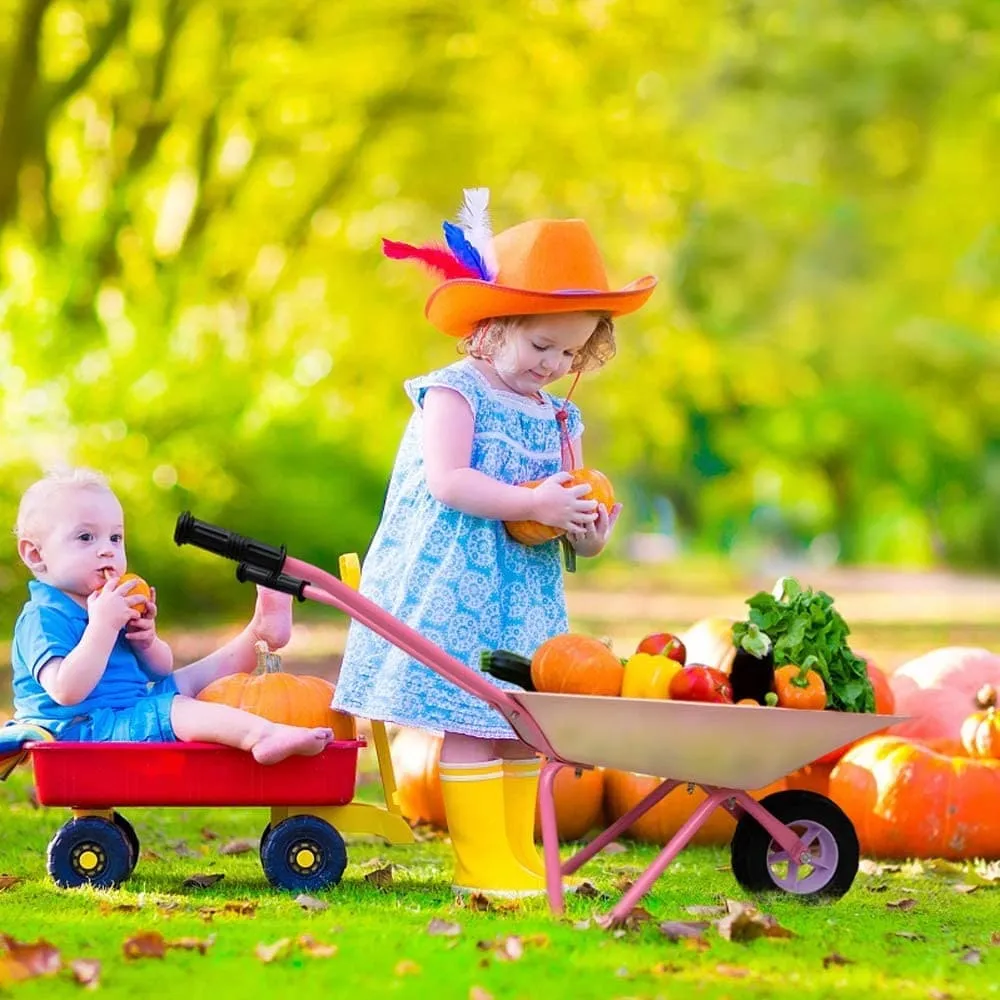 Pink Flamingos Kids Wheelbarrow Set|Children's wheelbarrow with Gardening Tools and Gloves Age 3 