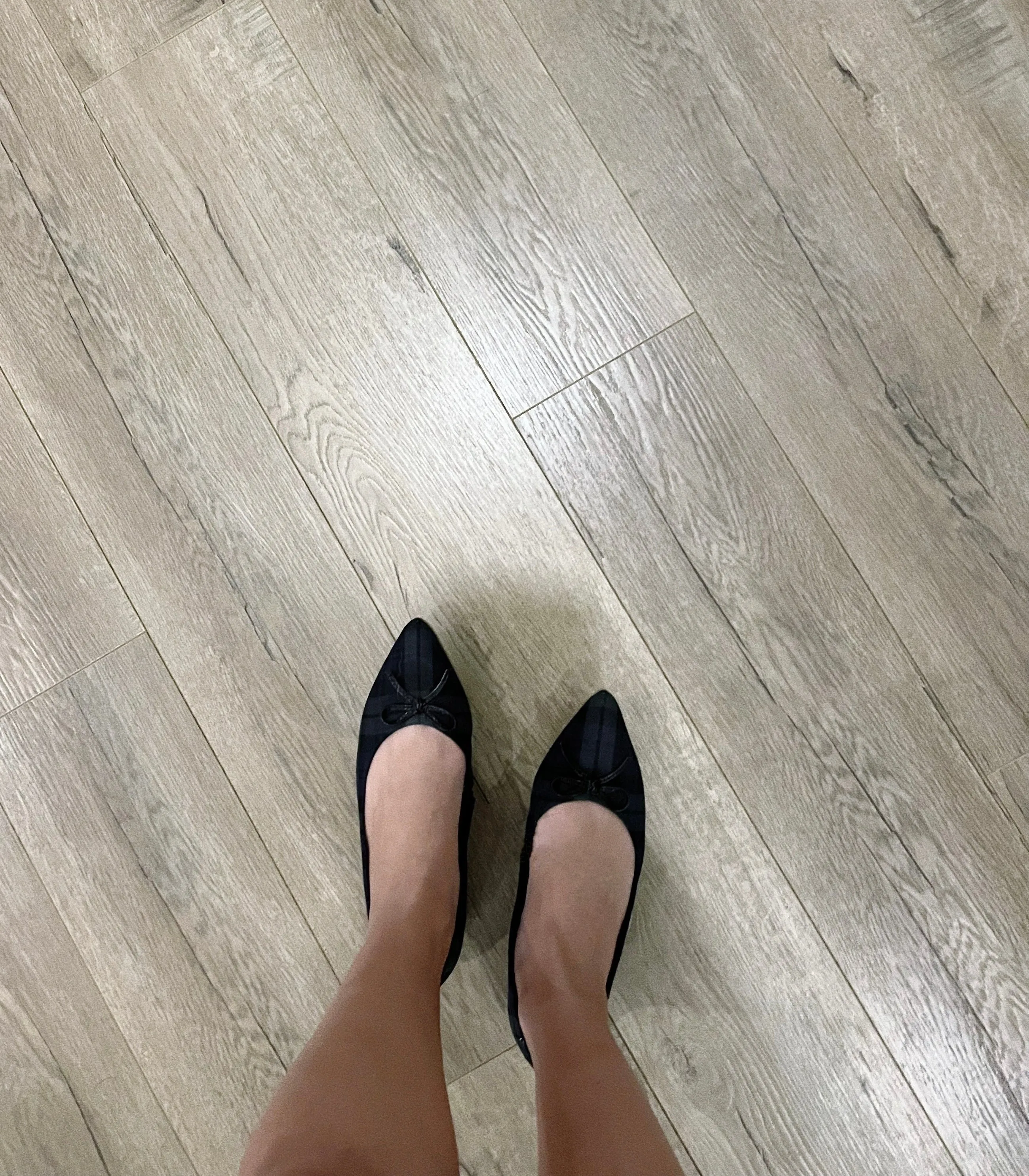 Pointy Toe Flats