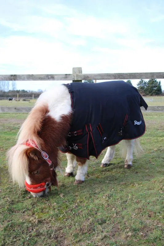 Rhinegold Foal Thor Outdoor Rug