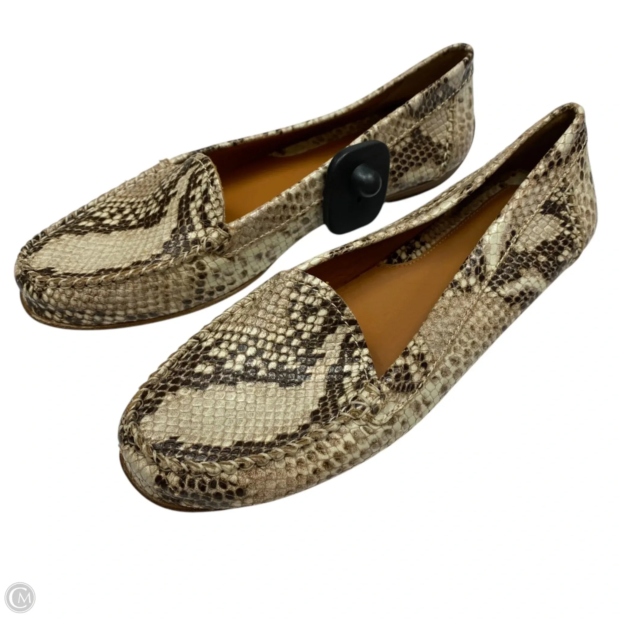 Shoes Flats By Geox Shoes In Snakeskin Print, Size: 8.5