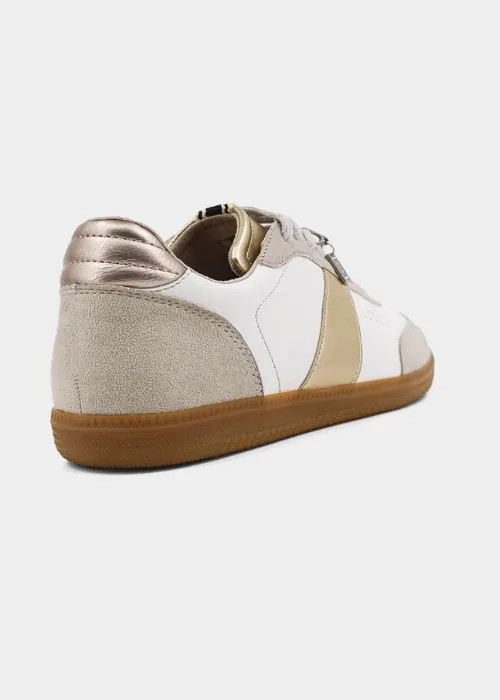 ShuShop Sydney Sneaker in Gold