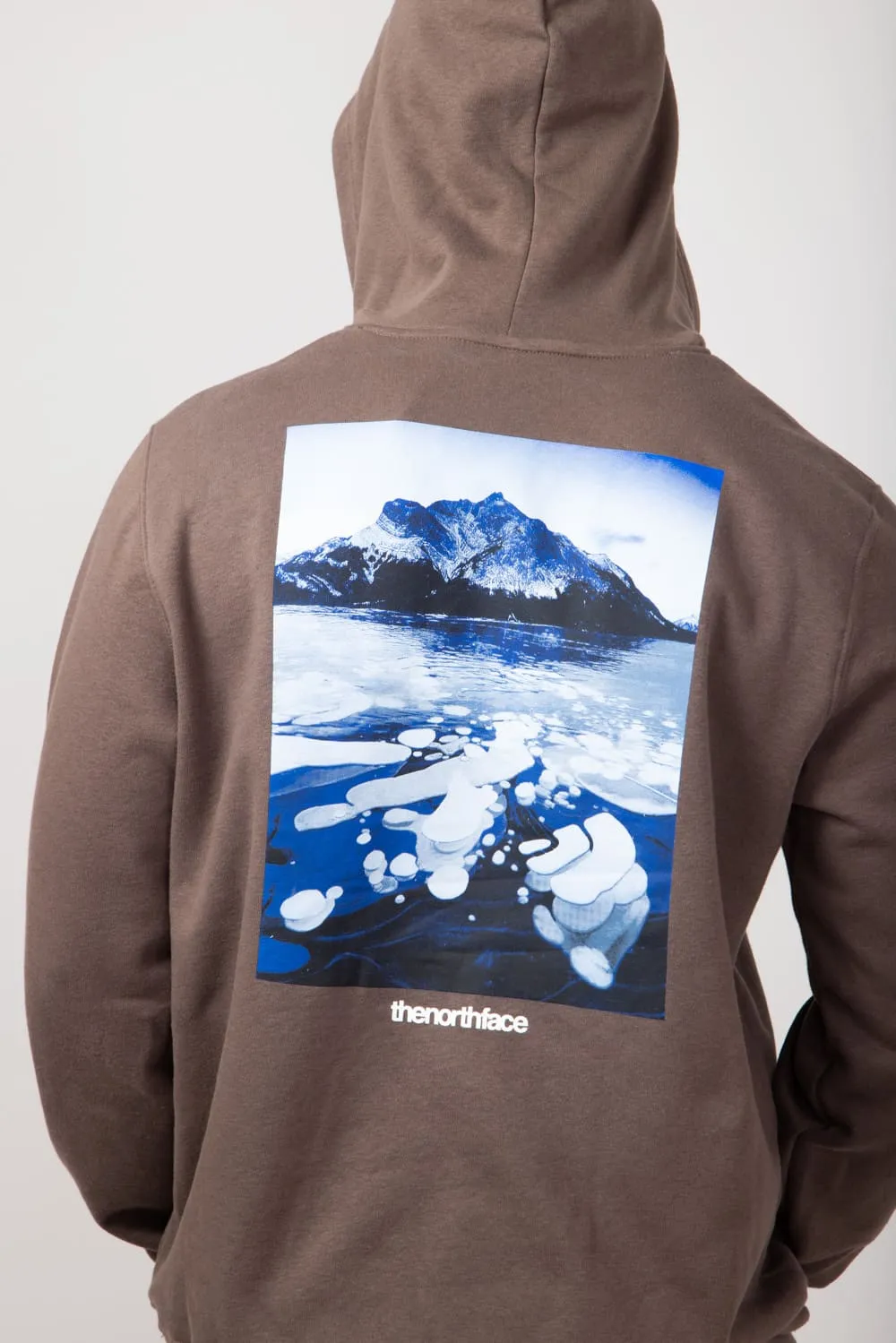 The North Face Suspended Hoodie for Men in Brown | NF0A8B03-1OI-BRN