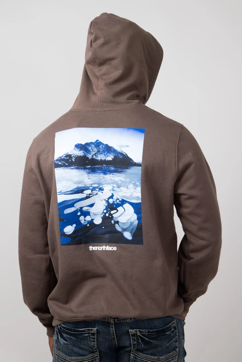 The North Face Suspended Hoodie for Men in Brown | NF0A8B03-1OI-BRN