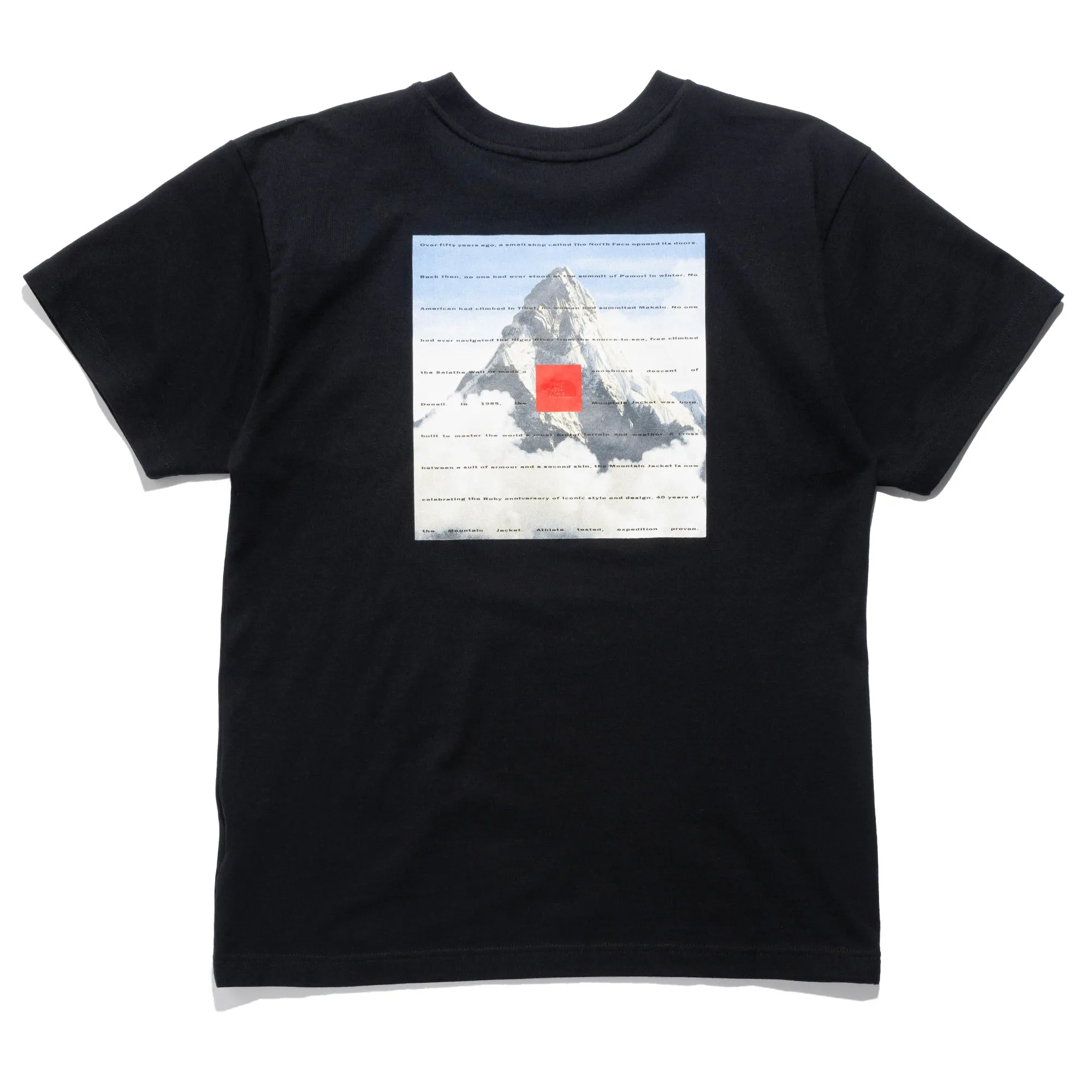 TNF 40th Anni. Mountain Tee Black NF0A8BXYJK31