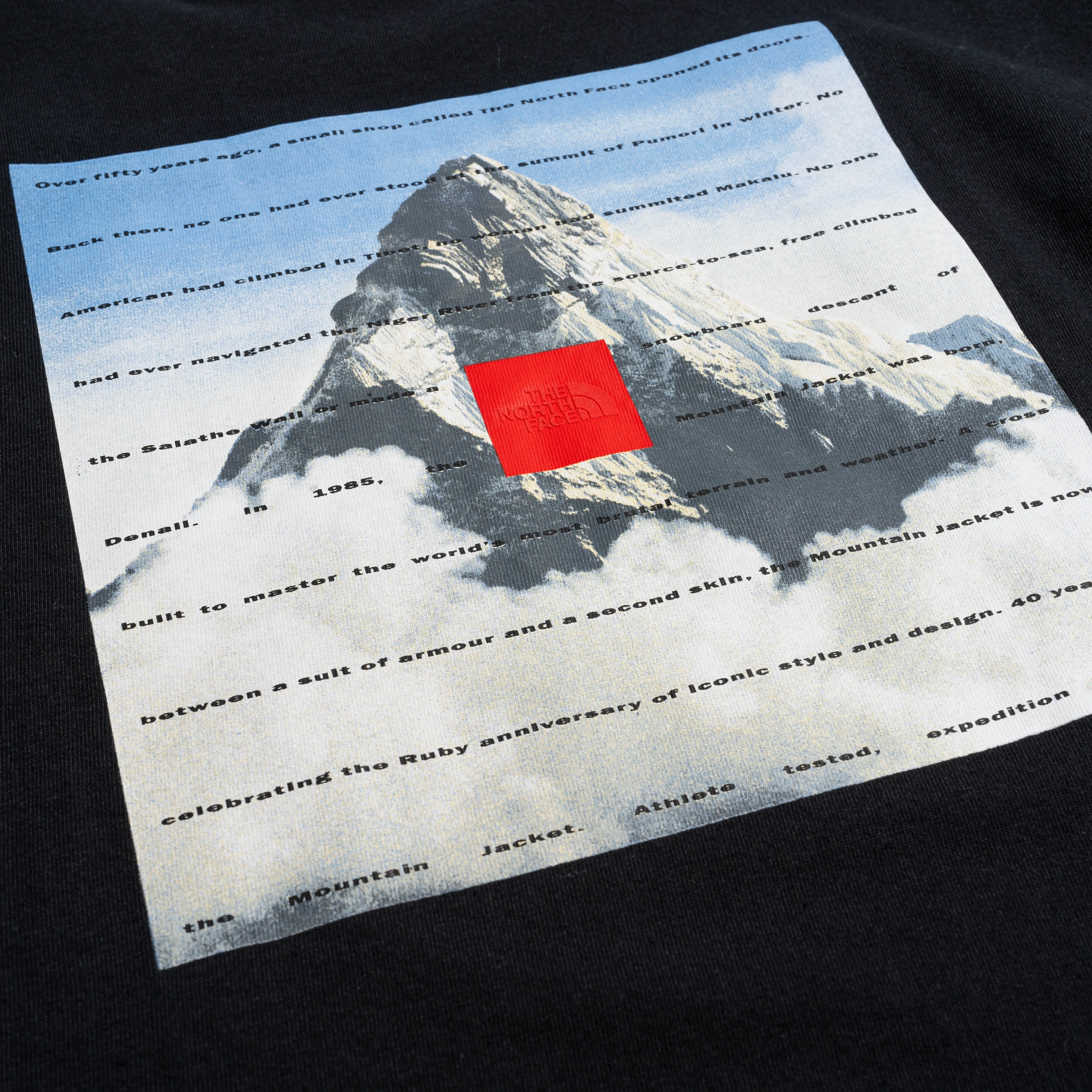TNF 40th Anni. Mountain Tee Black NF0A8BXYJK31