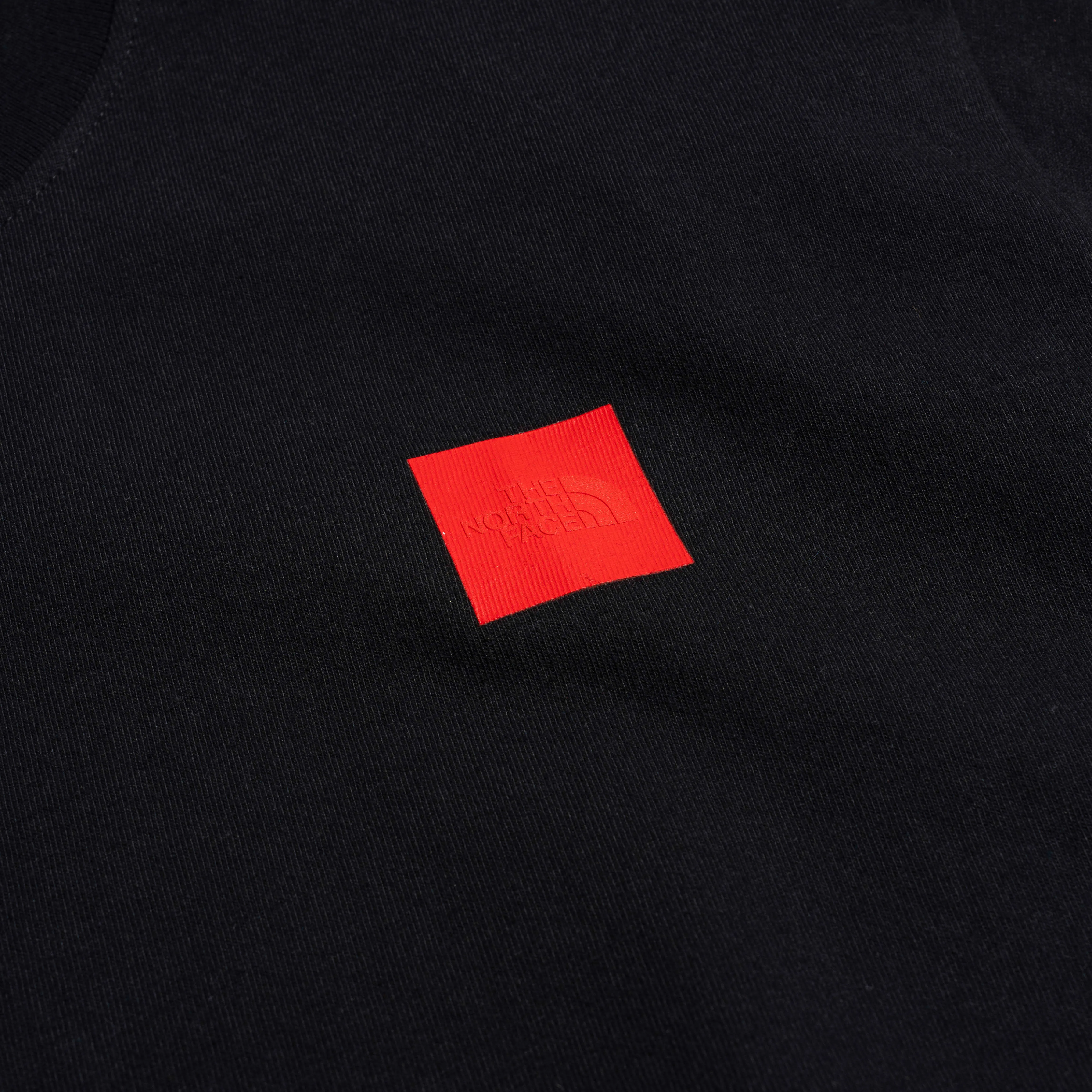 TNF 40th Anni. Mountain Tee Black NF0A8BXYJK31