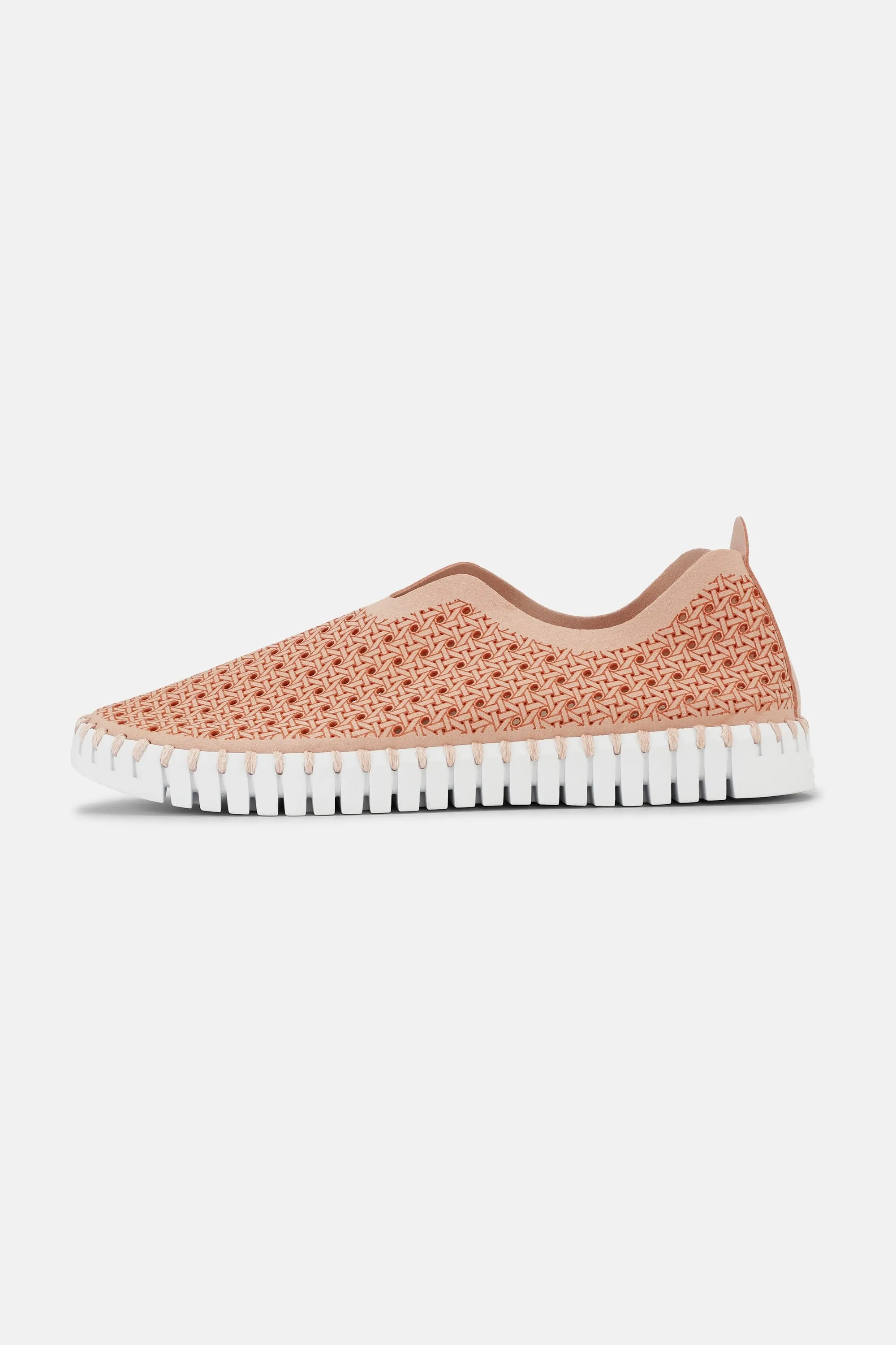 Tulip Skor - Adobe Rose White