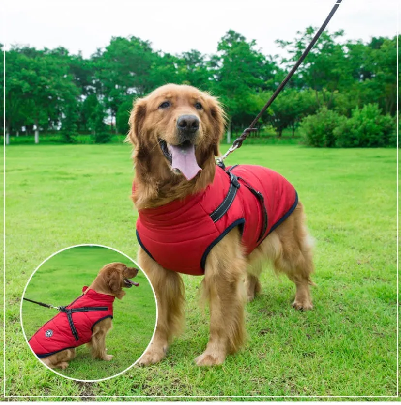 Waterproof Luxury Pet Vest with harness
