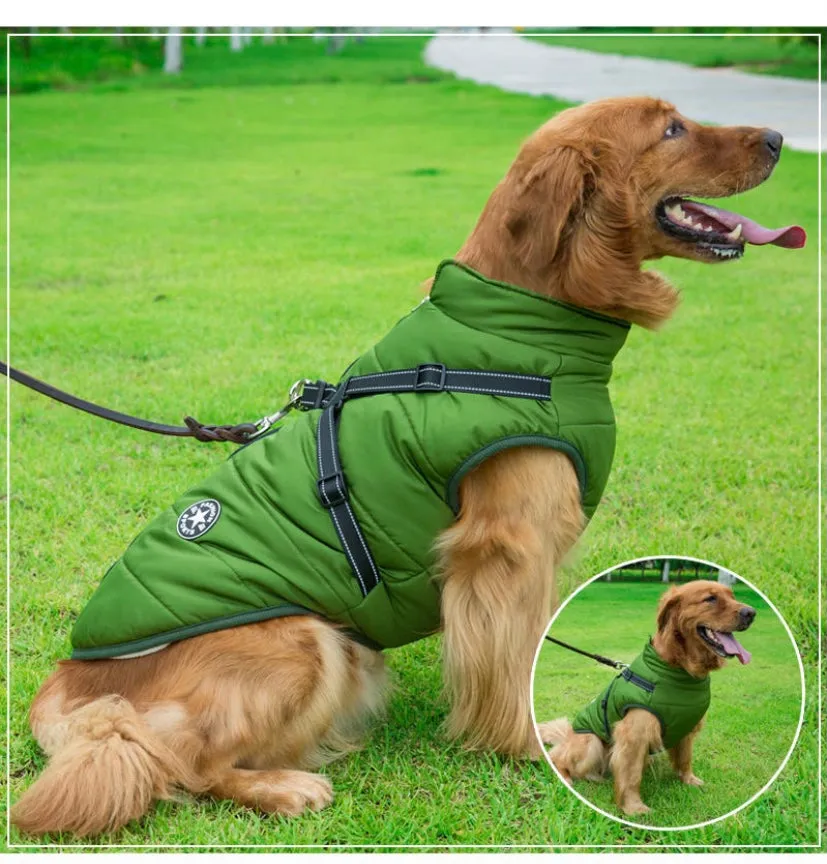 Waterproof Luxury Pet Vest with harness