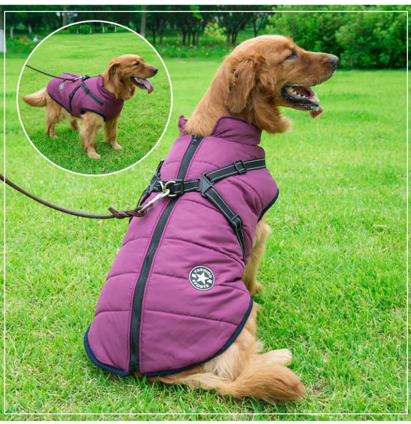 Waterproof Luxury Pet Vest with harness